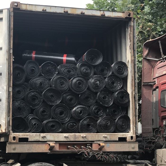 Extruded Polyethylene Geogrid 4